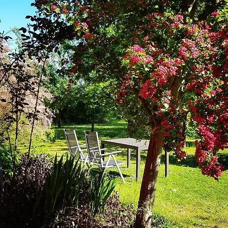 Hof Garz Lägenhet Poseritz