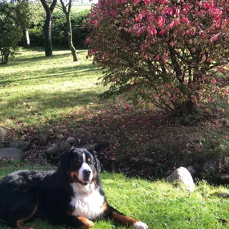 Hof Garz Apartmán *